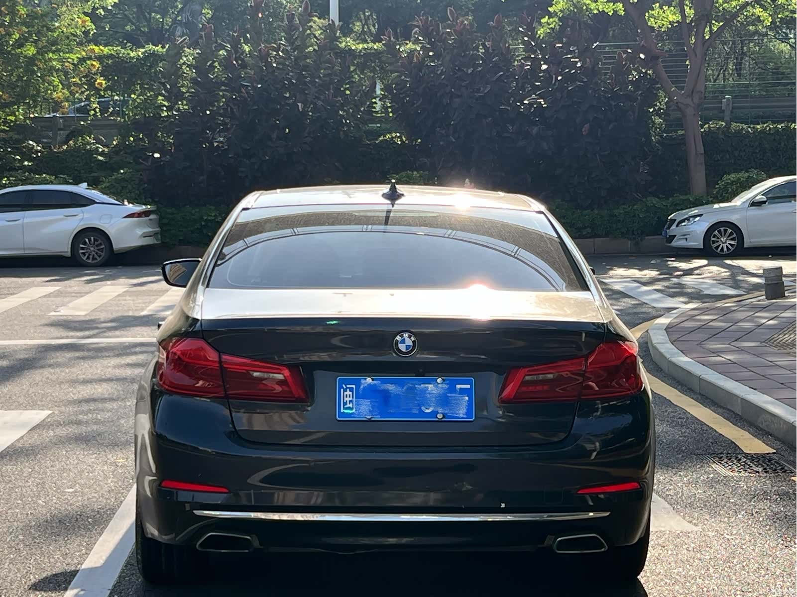 BMW 5 Series, 2018 8