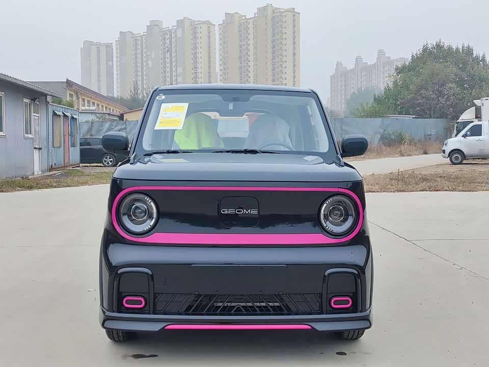 Geely Galaxy panda