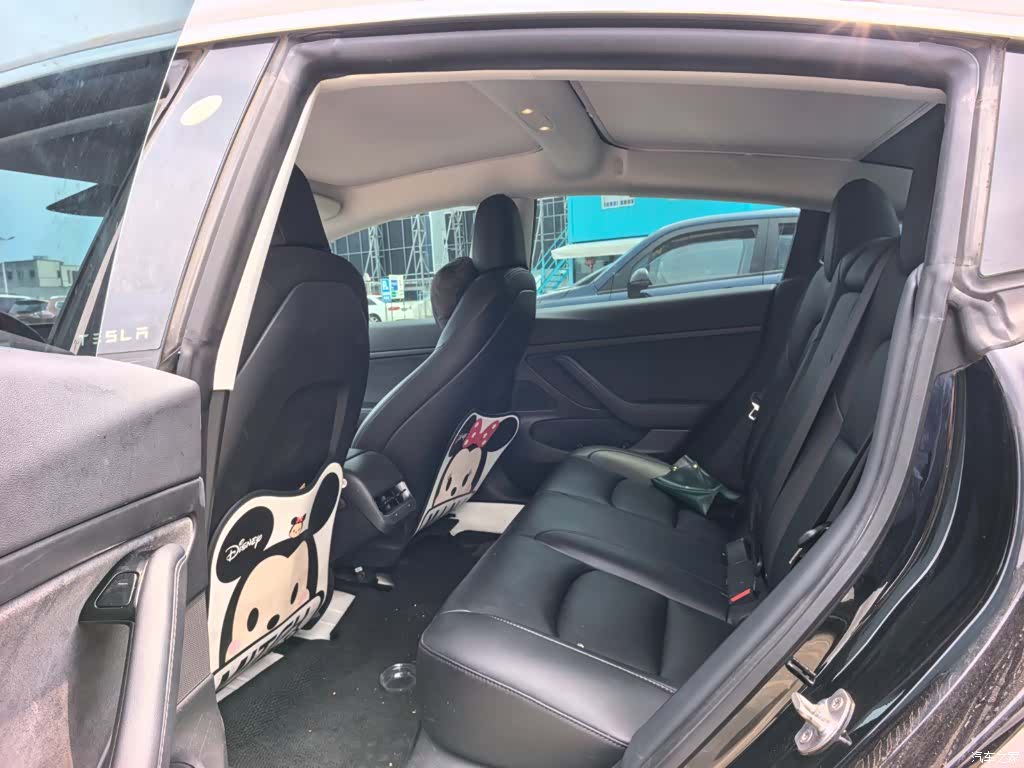 Tesla Model 3, 2020 9