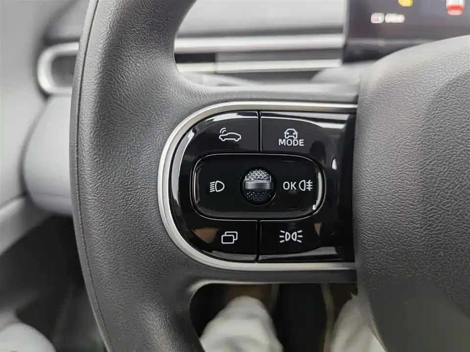 Dongfeng Nammi Nano 01