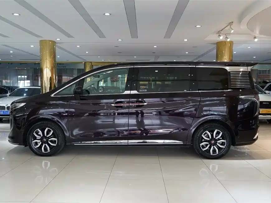 Hongqi HQ9