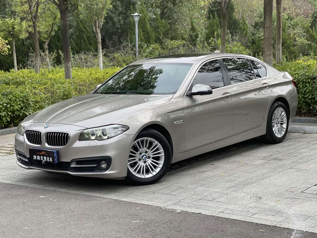 BMW 5 Series 5 2014 525Li Lead
