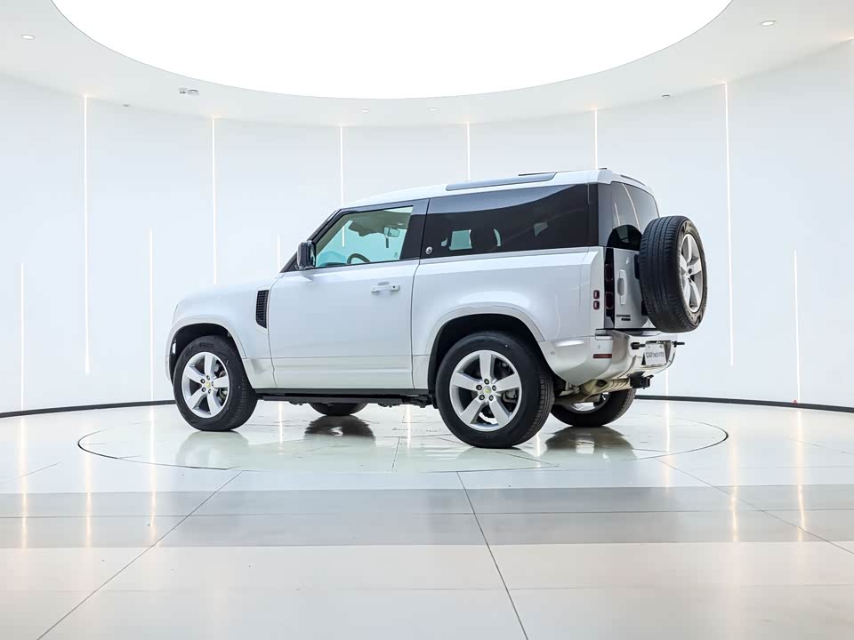 Land Rover guard