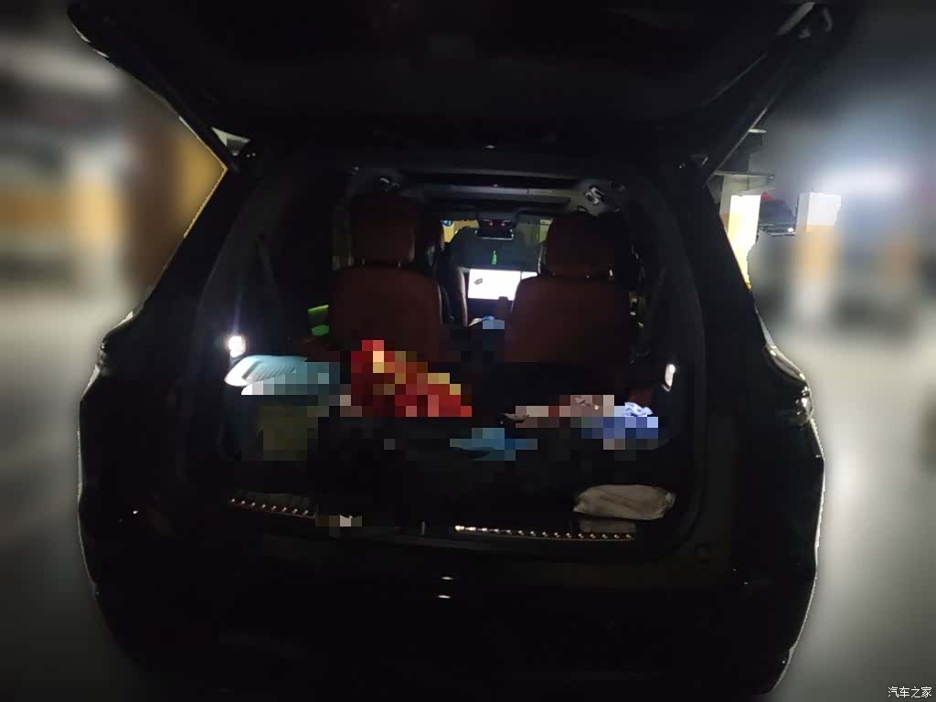Li Auto L9, 2023 15