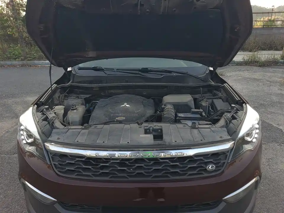 Leopaard Cheetah CS10