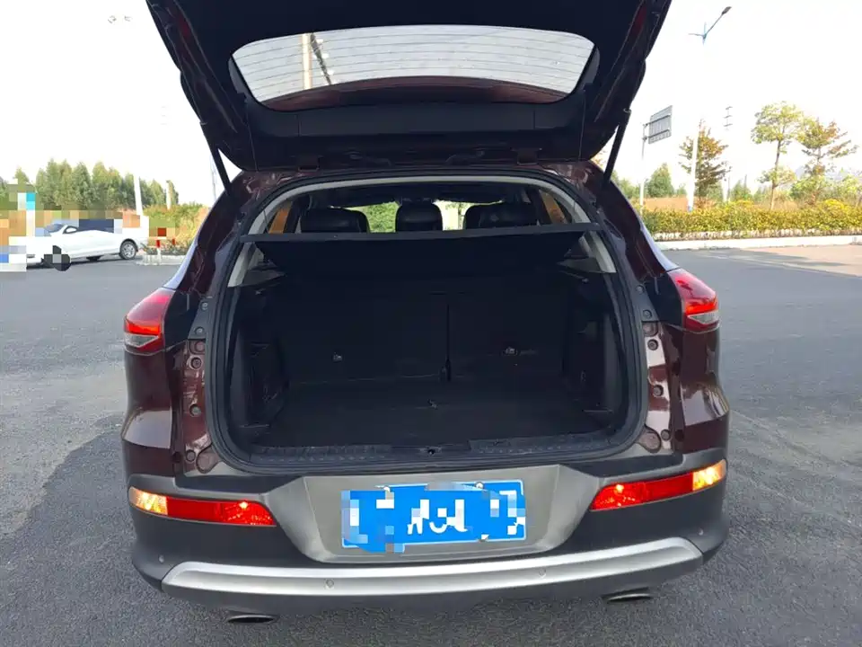 Leopaard Cheetah CS10