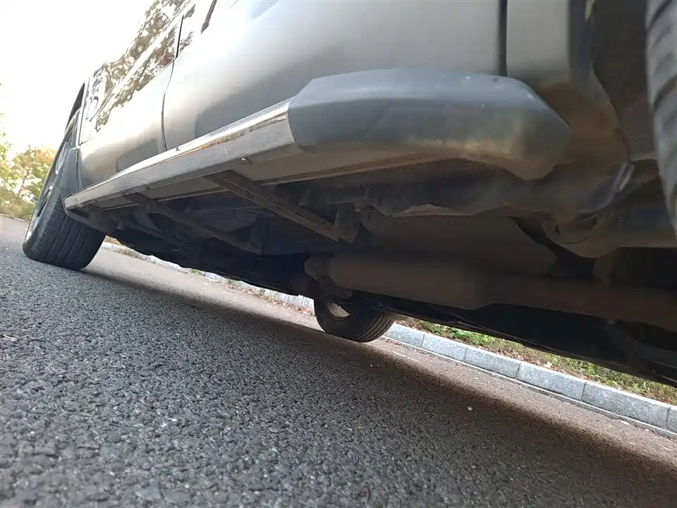 Leopaard Cheetah CS10