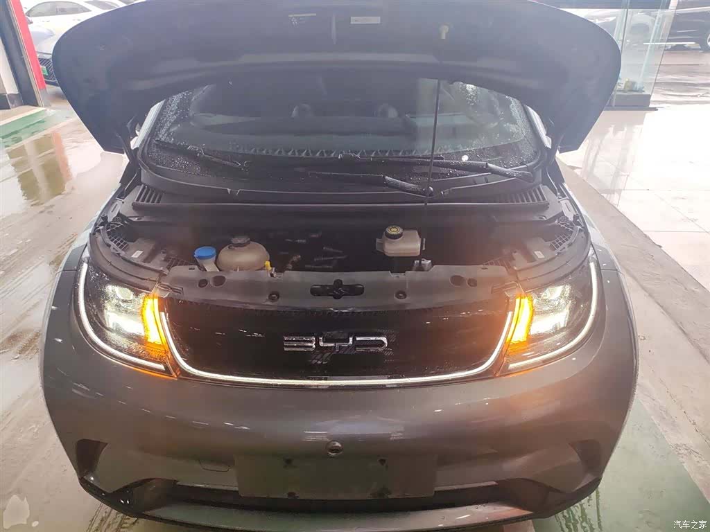 BYD Dolphin, 2024 20