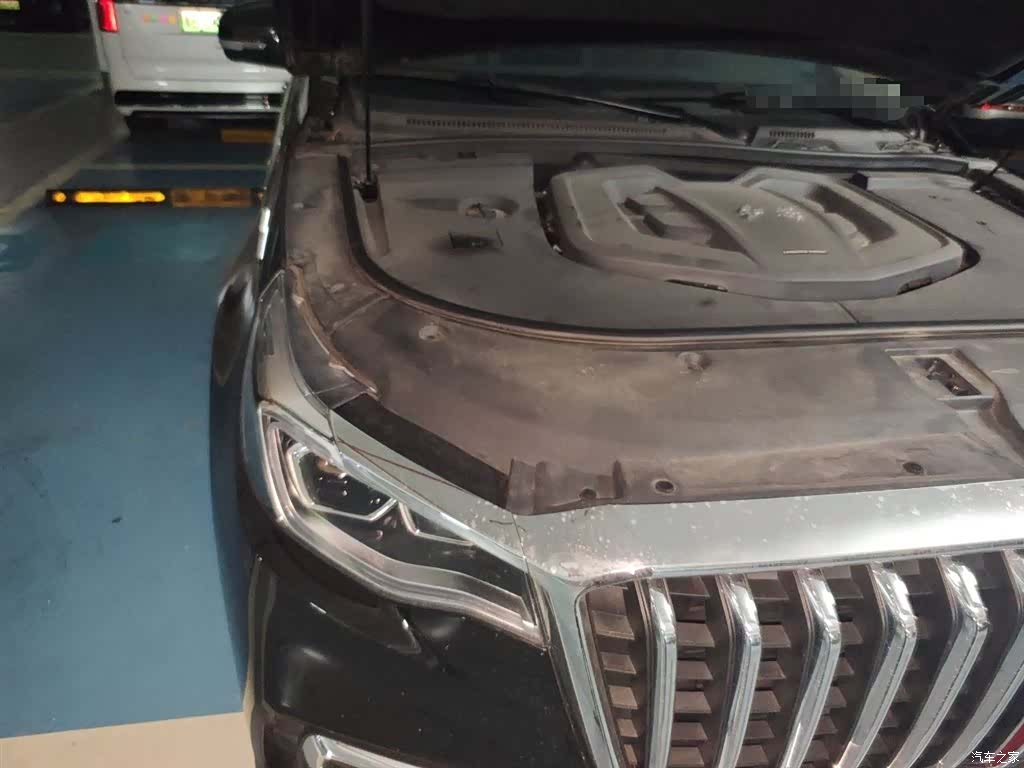 Hongqi HS7, 2023 7