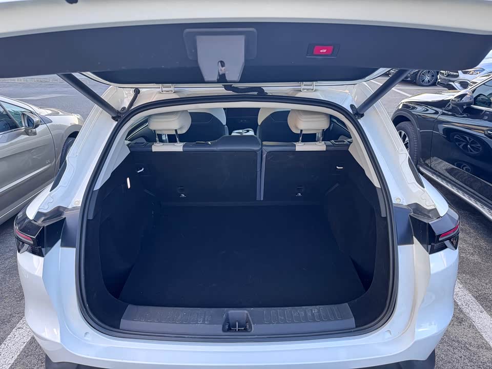 ARCFOX Polar Fox Alpha T5