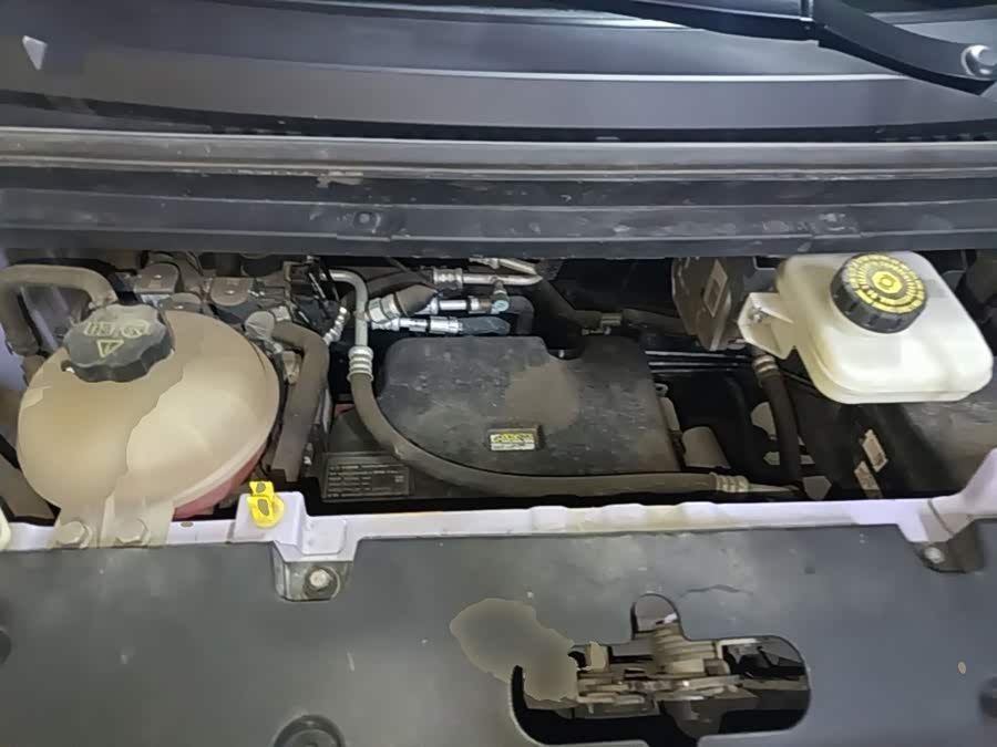 BYD Dolphin 2024, фото 20
