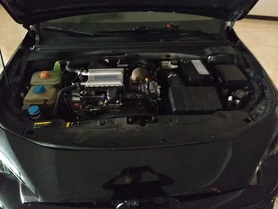 Trumpchi Shadow Leopard