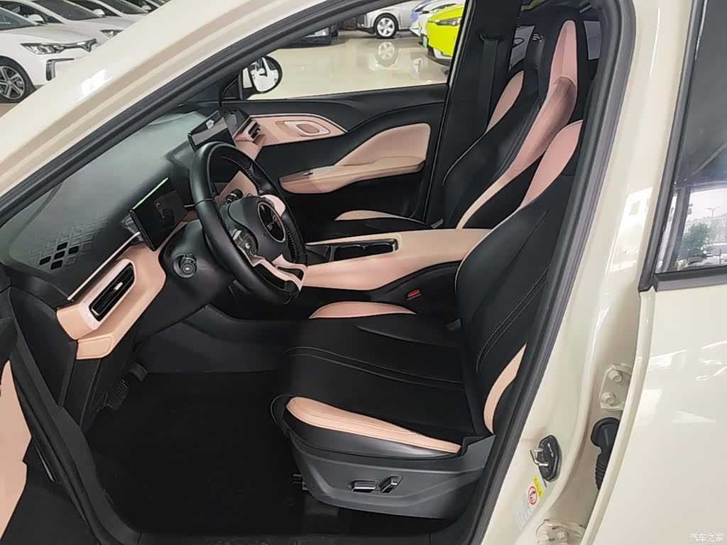 BYD Seagull, 2024 15