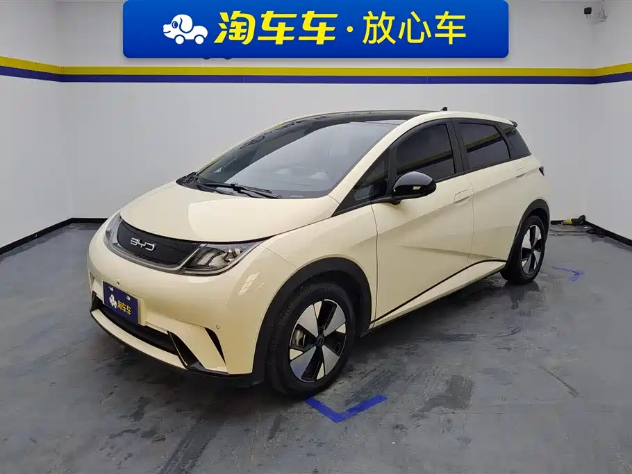 BYD dolphin