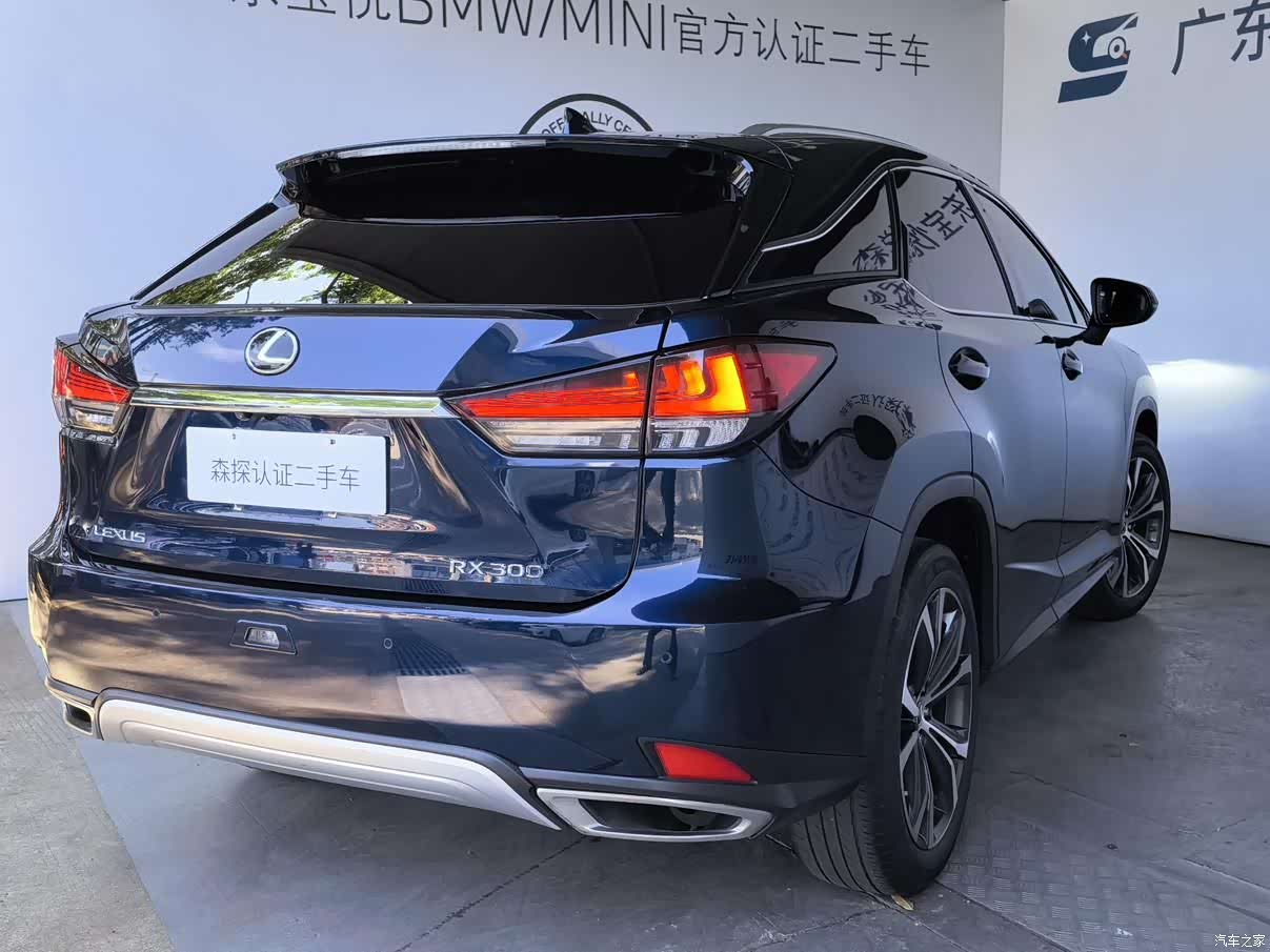 Lexus RX, 2021 3
