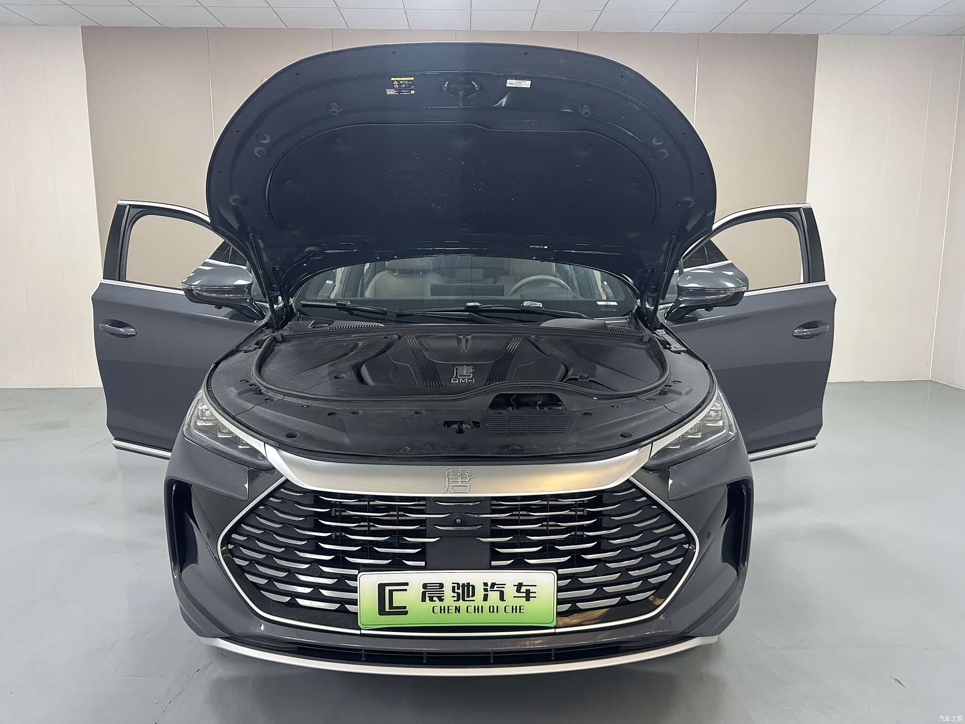 BYD Tang, 2024 15