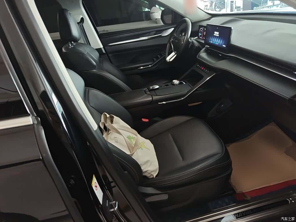 Haval H6, 2021 25