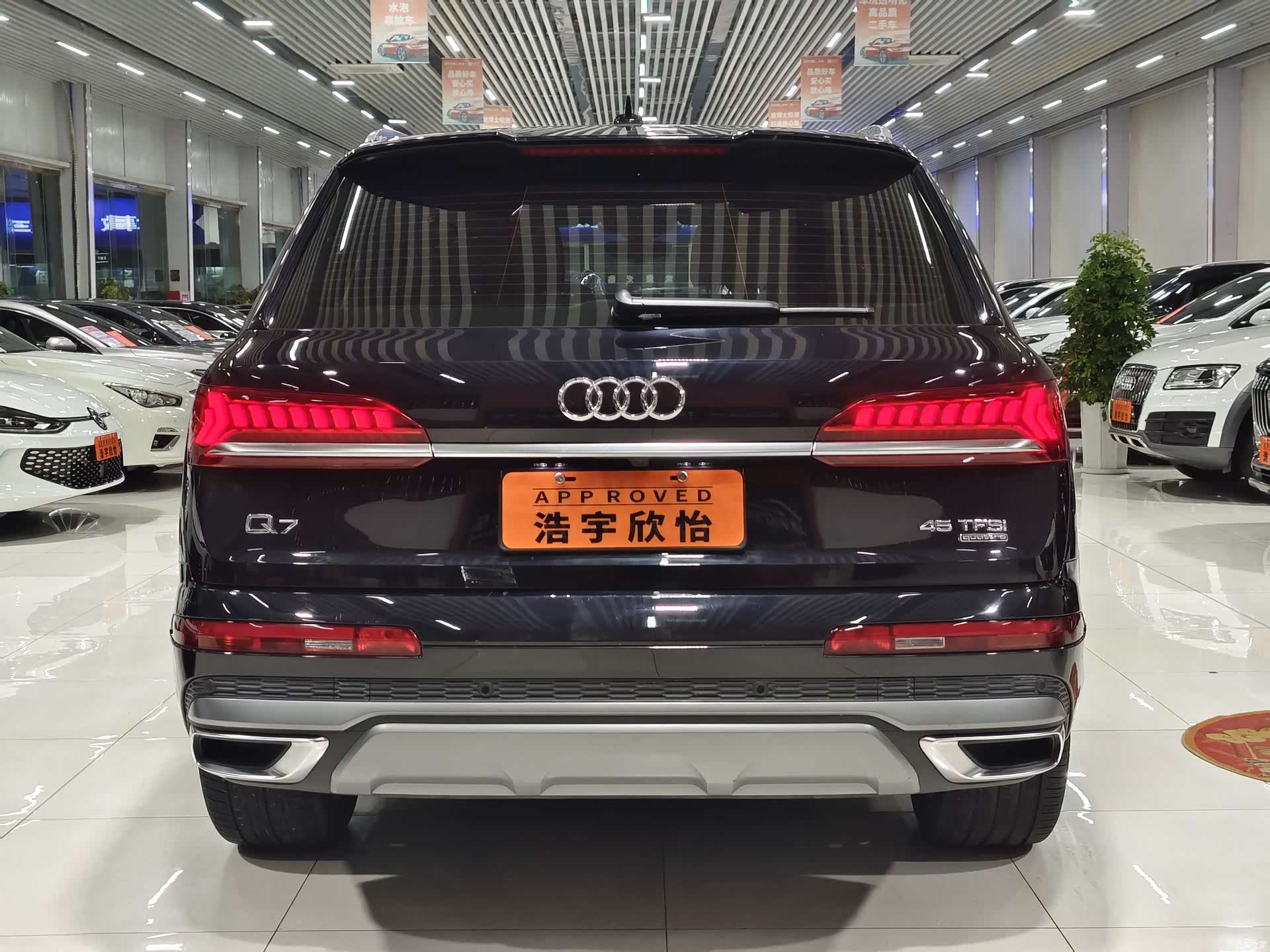 Audi Q7, 2021 все фото