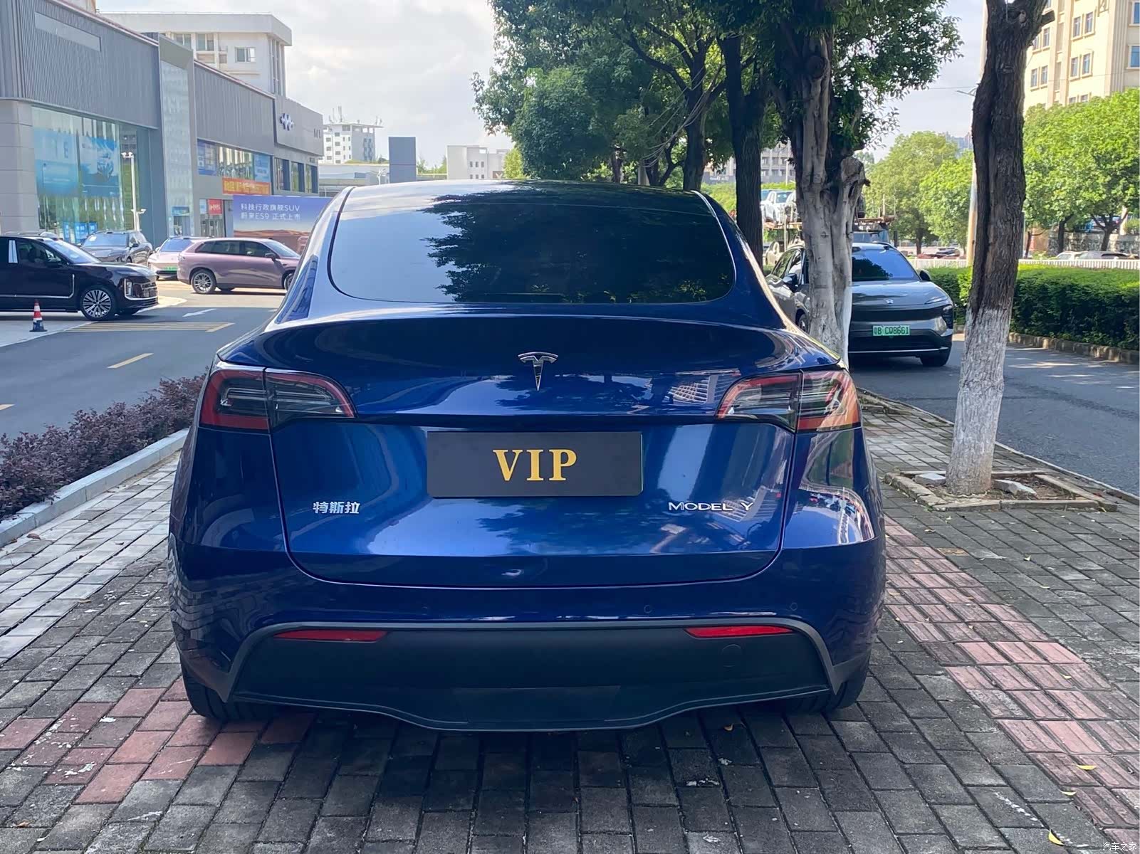 Tesla Model Y, 2022 все фото