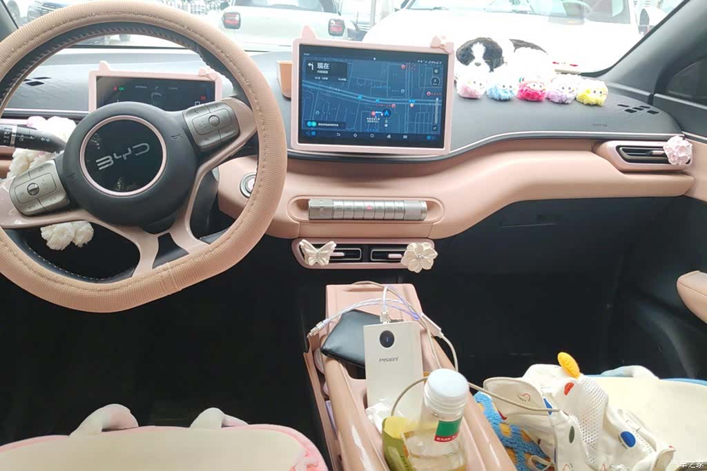 BYD Seagull, 2024 12