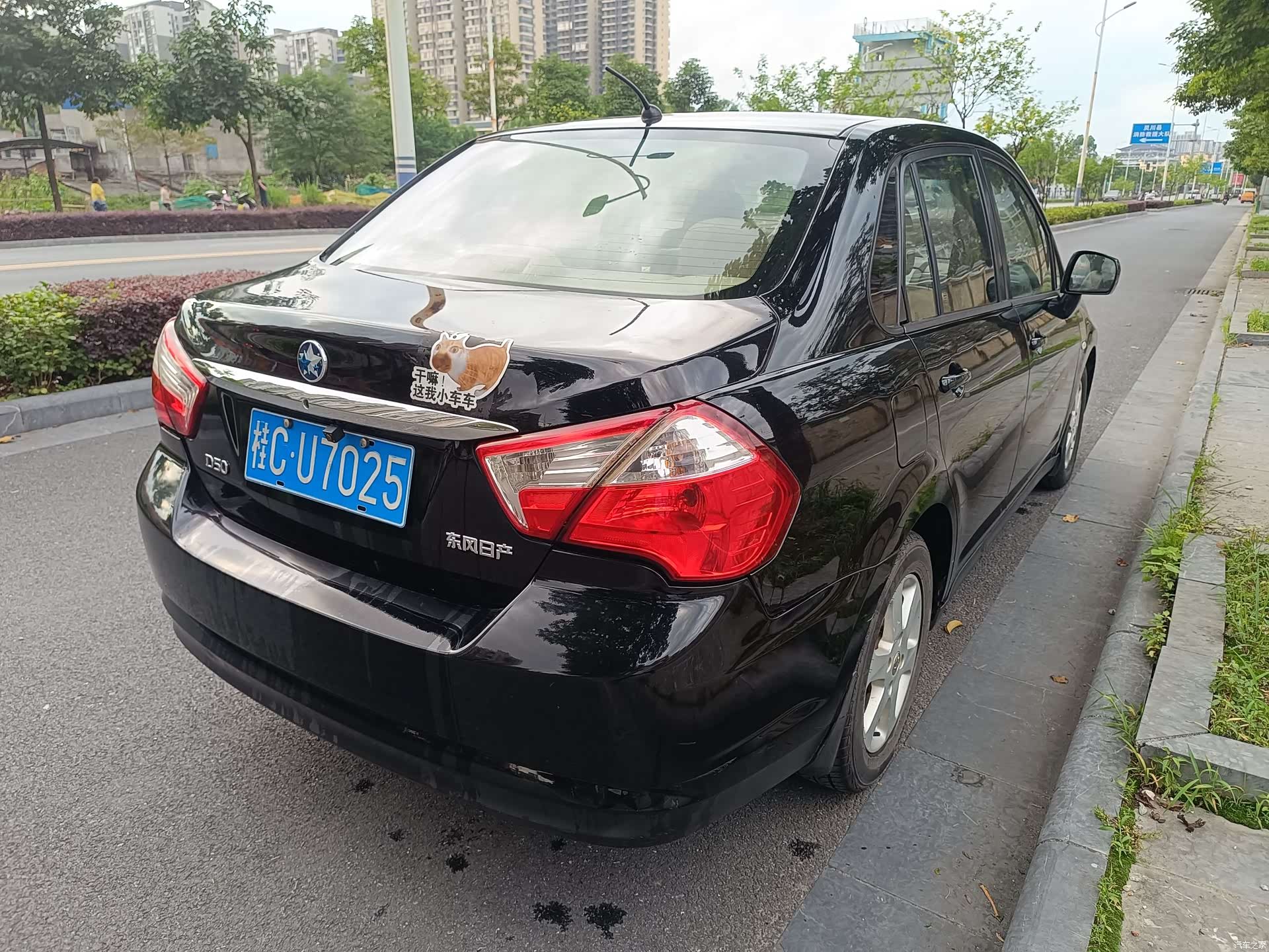 Nissan D50, 2012 4