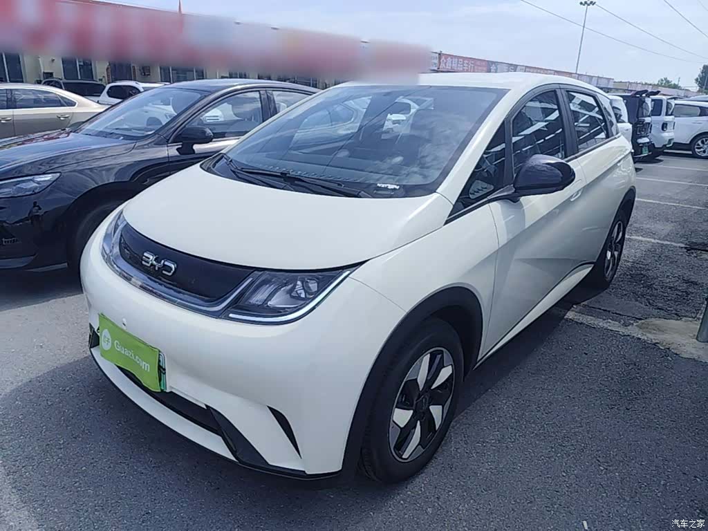 BYD Dolphin, 2026 2