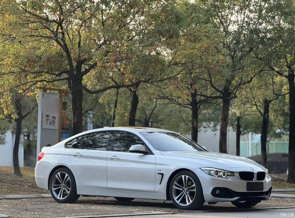 BMW 4 Series, 2015 24