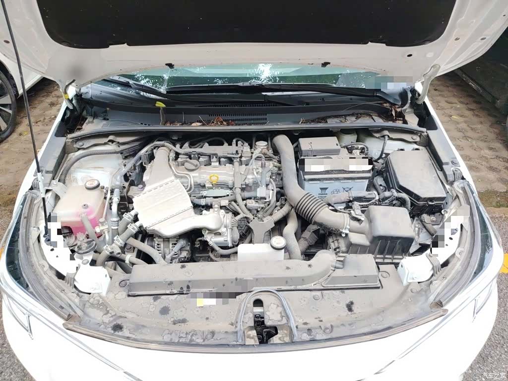 Toyota Levin, 2024 11