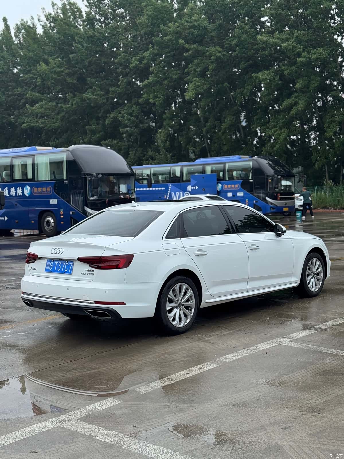 Audi A4L, 2019 все фото