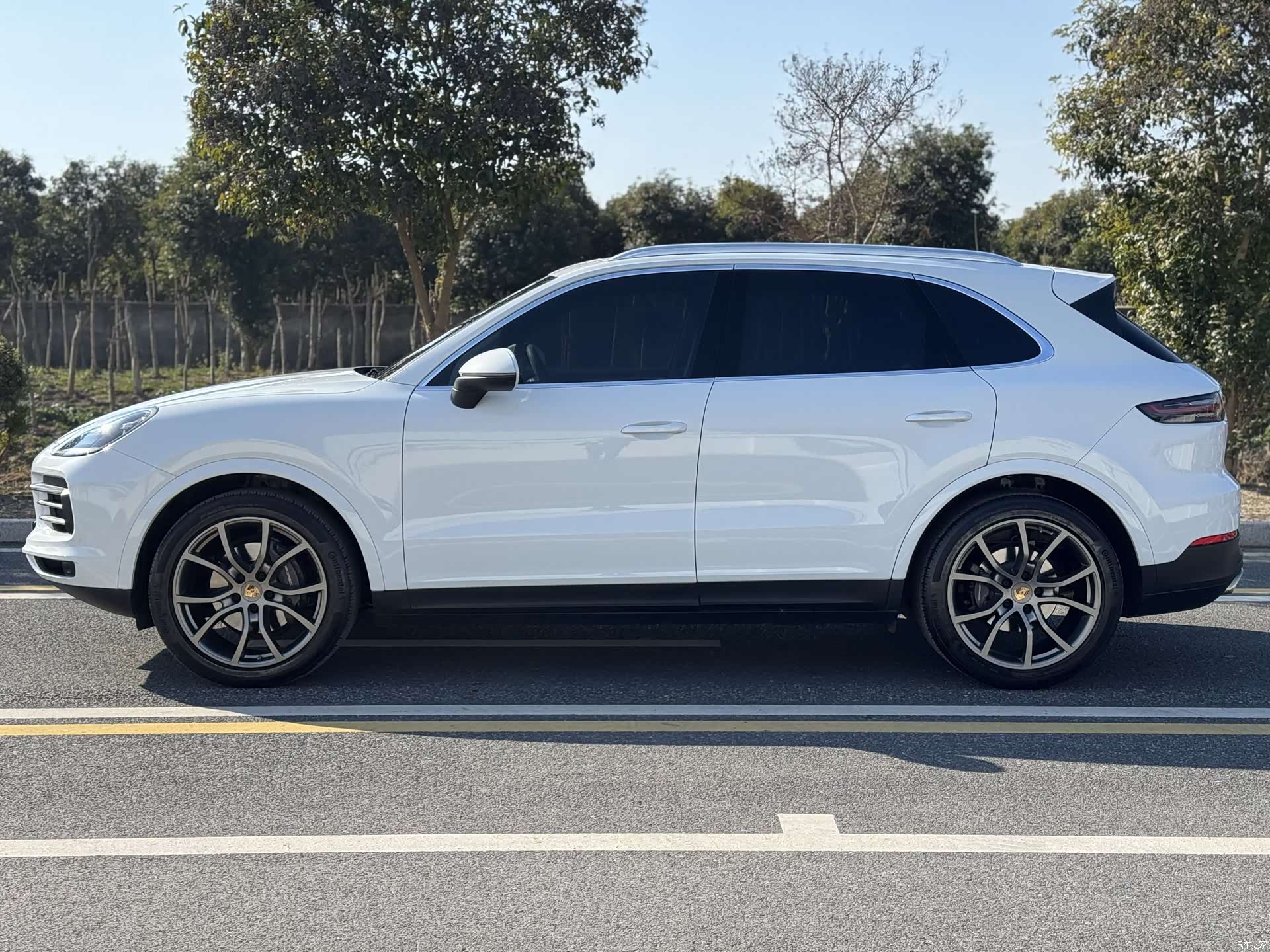 Porsche Cayenne, 2023 все фото