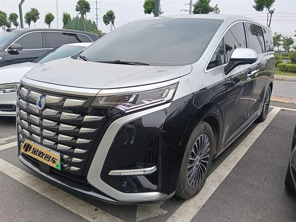 Denza D9