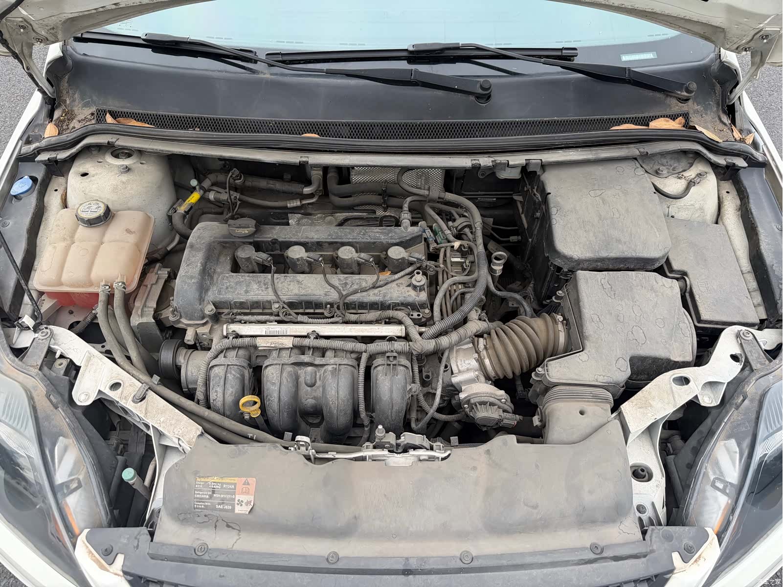 Ford Focus, 2015 10