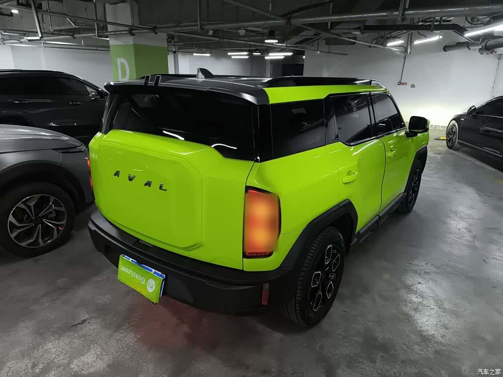 Haval Cool Dog, 2022 все фото