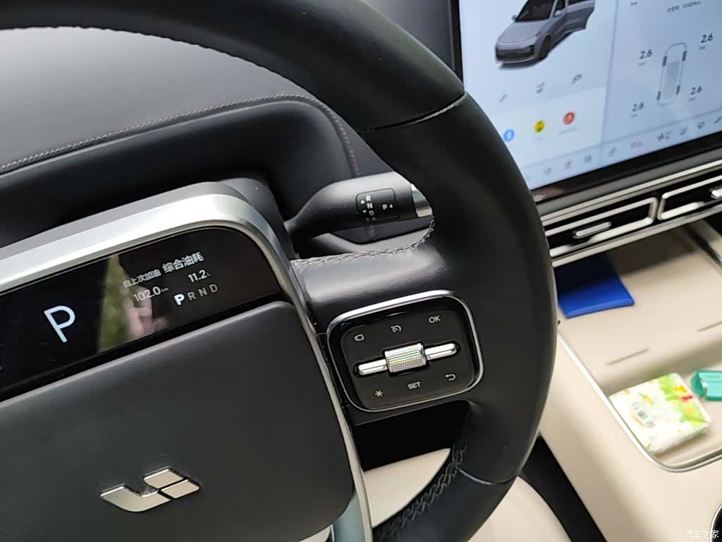 Li Auto L9, 2022 14