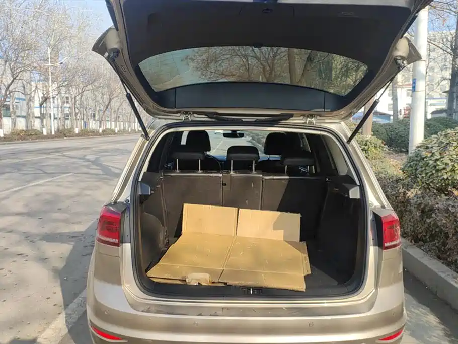 Volkswagen Golf*Jiayu
