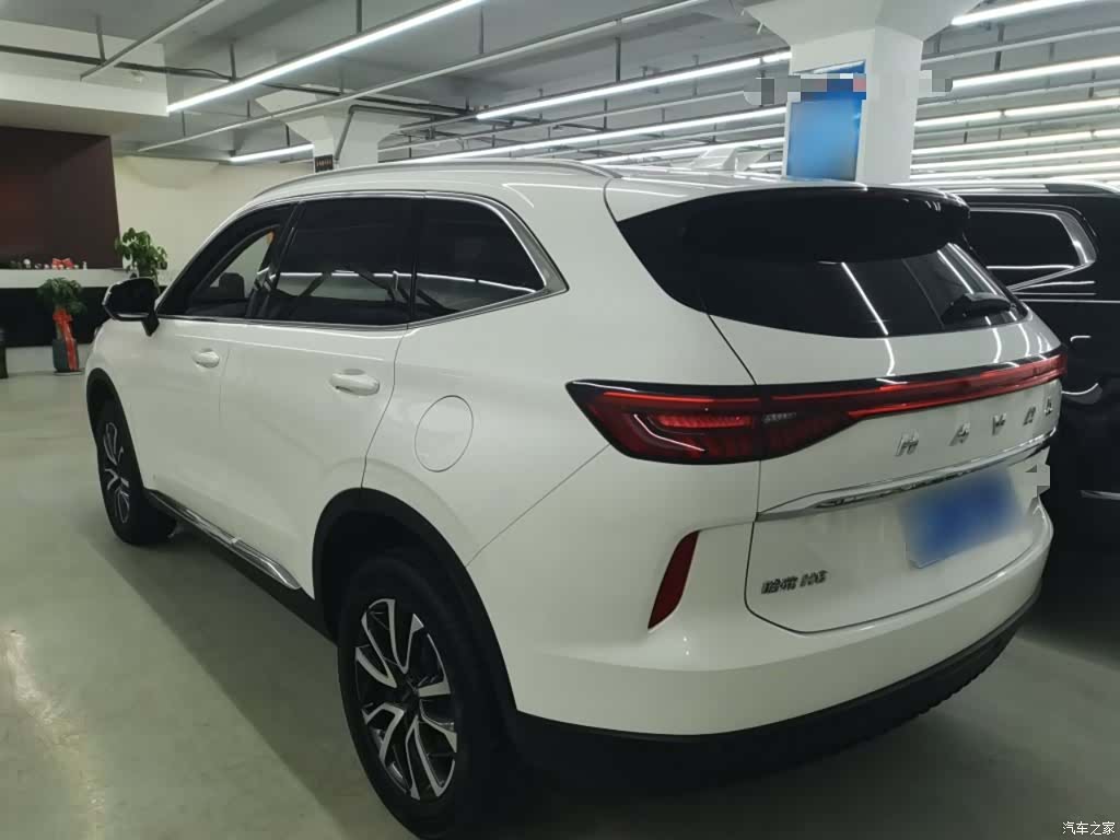 Haval H6, 2023 все фото