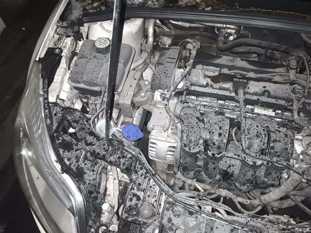 Ford Focus, 2014 21