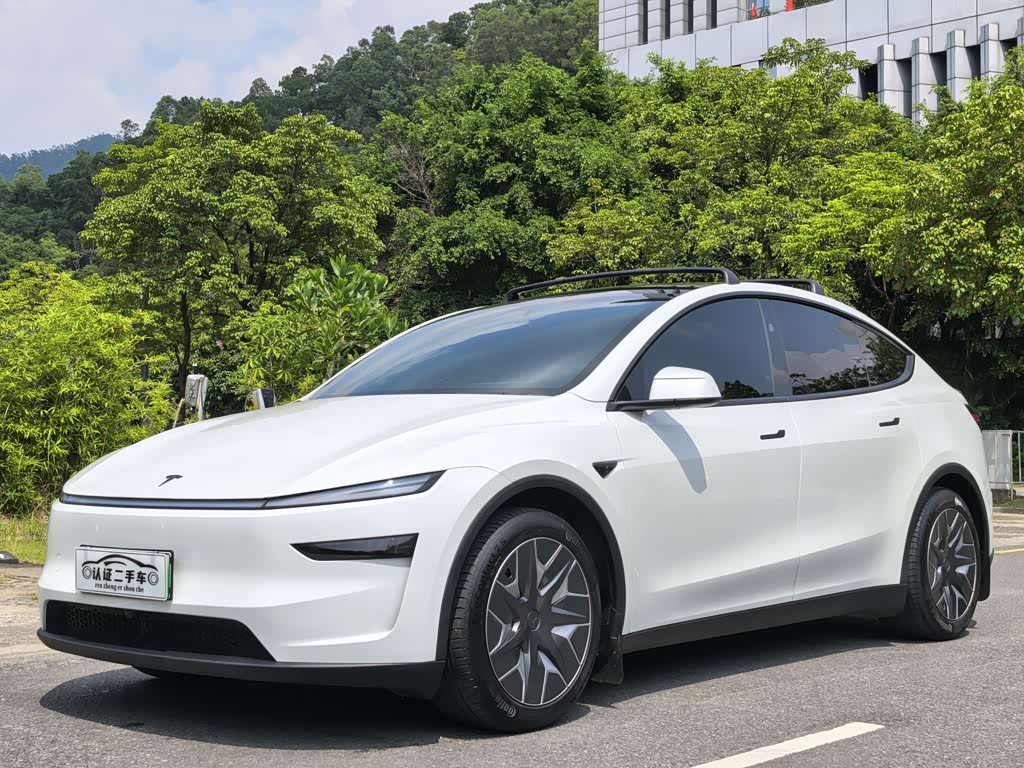 Tesla Model Y L