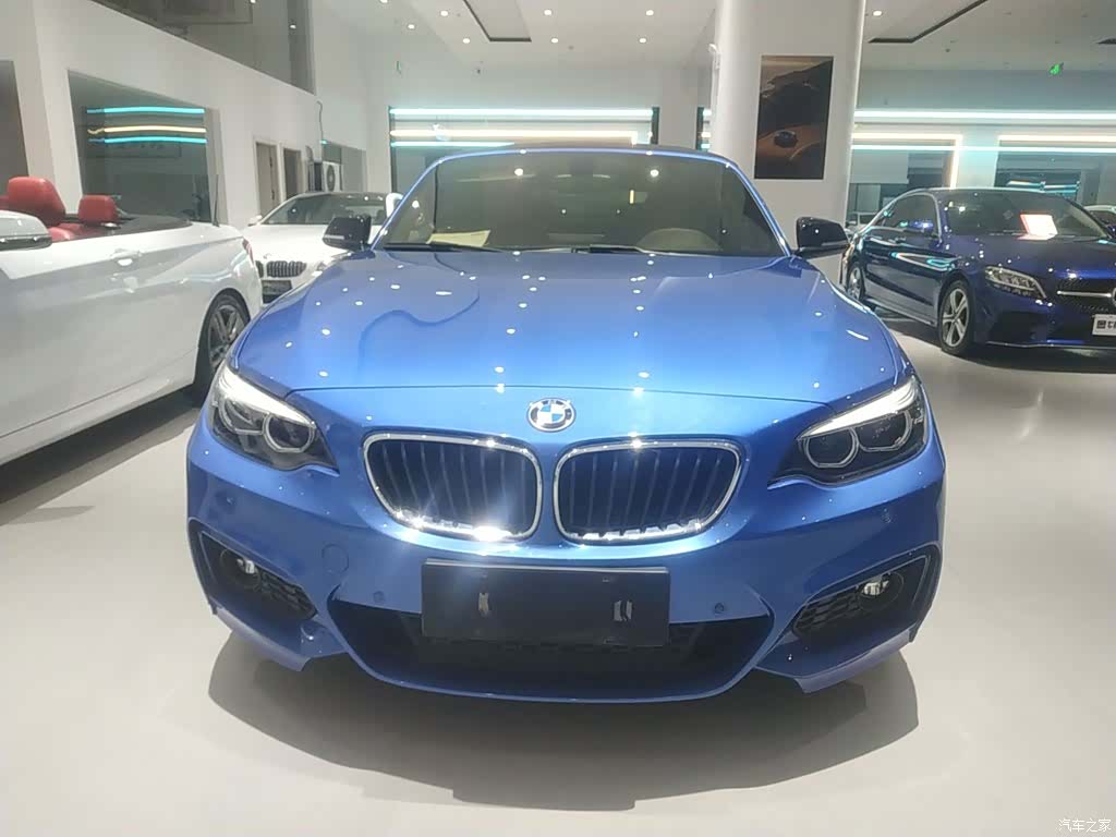 BMW 2 Series, 2018 19