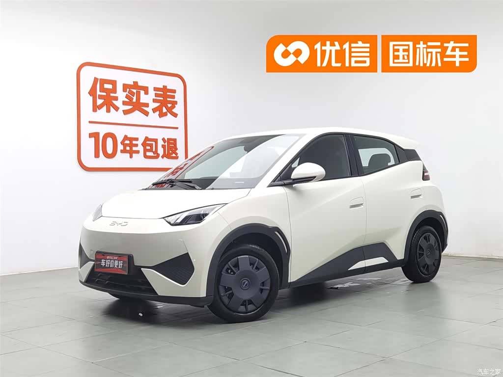 BYD Seagull