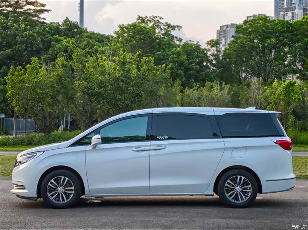 Buick GL8, 2019 15