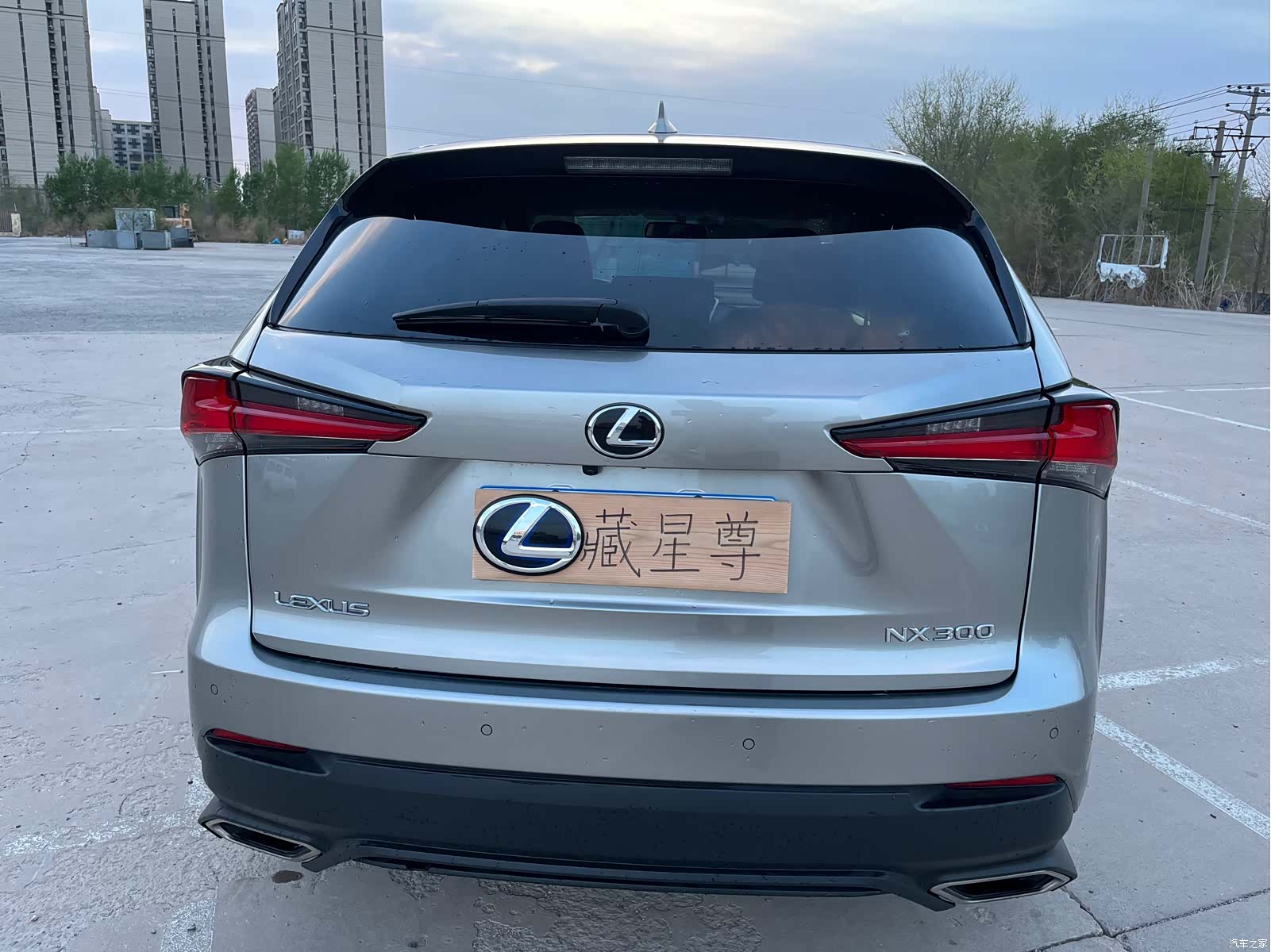Lexus NX, 2018 29