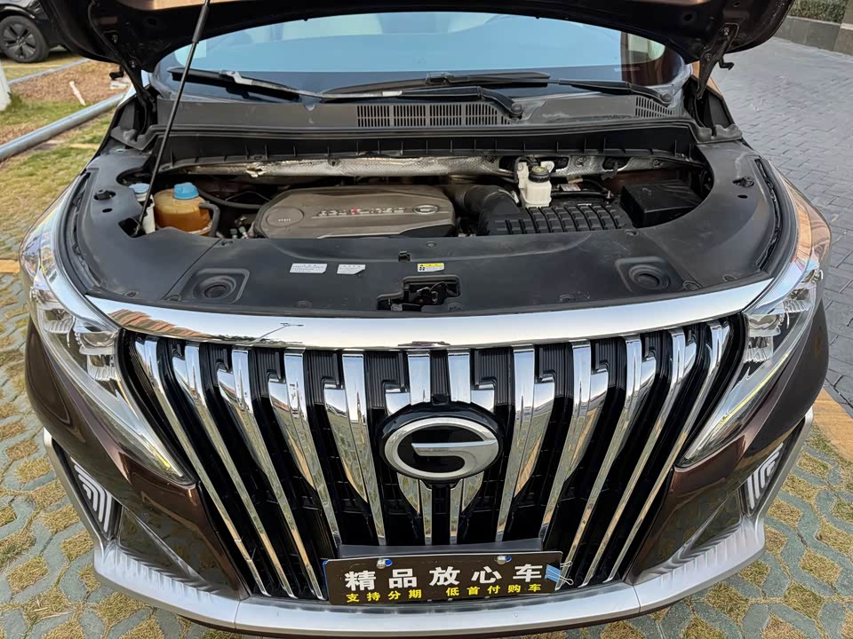 Trumpchi Trumpchi M8