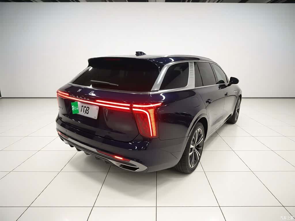 Hongqi E-HS9, 2023 все фото