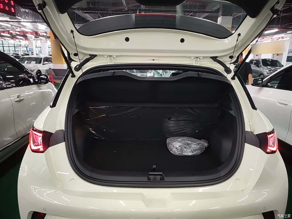 BYD Dolphin, 2026 19