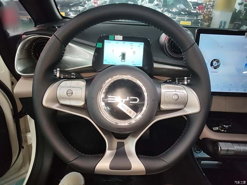 BYD Dolphin, 2026 11