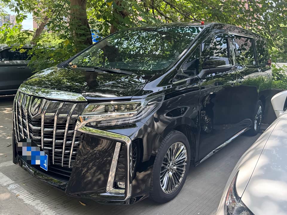 Toyota Elfa