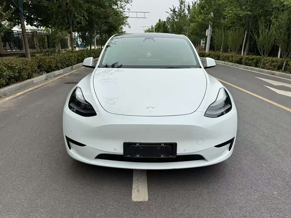 Tesla Model Y Tesla Model Y