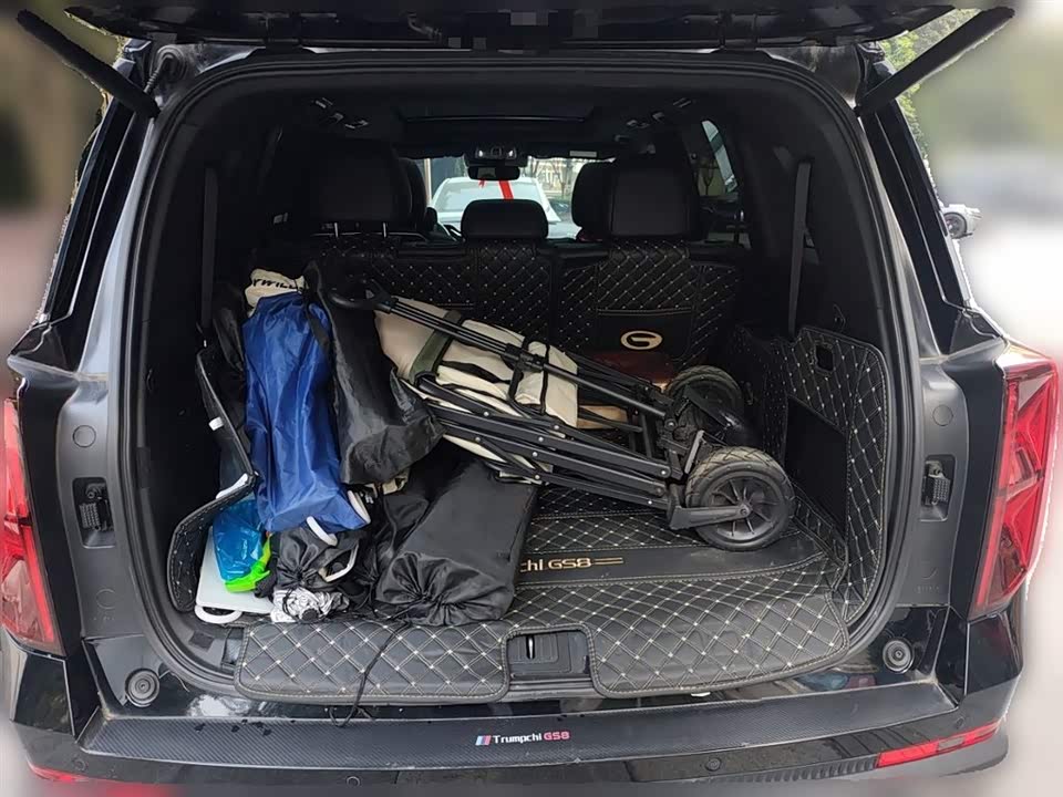 Trumpchi Trumpchi GS8