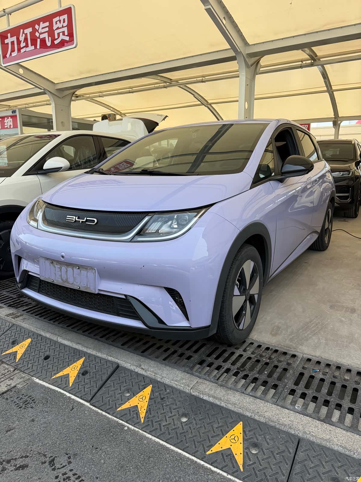 BYD Dolphin, 2024 1